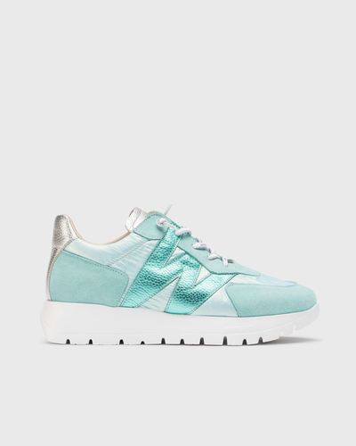 Wonders | Oslo Trainer