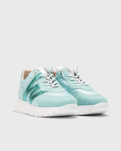 Wonders | Oslo Trainer