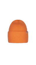 Load image into Gallery viewer, Barts | Haveno UNISEX Beanie