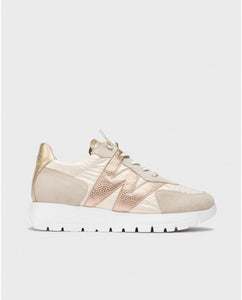 Wonders | Oslo Trainer